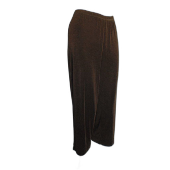 CHICO'S TRAVELERS Pants, 2, Brown, Crop/Capri length, Cargo pocket, Clamdigger - Picture 2 of 11